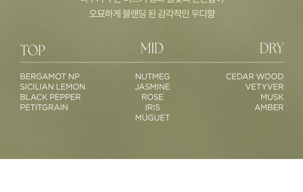 [5월 올영픽/원필PICK] 애프터블로우 솔리드/오 드 퍼퓸 20종 택1 (단품/기획) 상세페이지 53